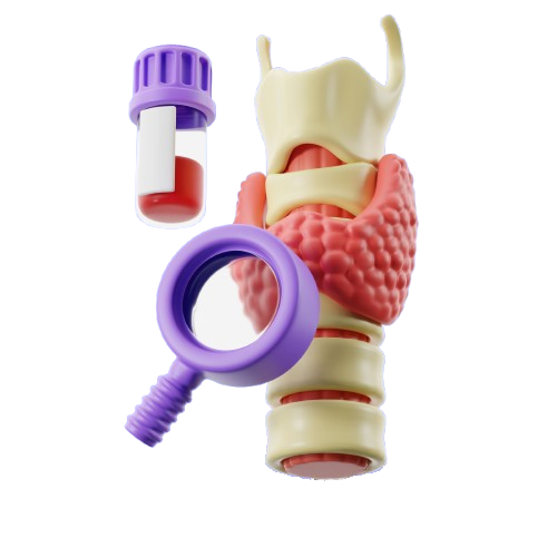 thyroid profile ( t3,t4,tsh ) thyroid profile ( t3,t4,tsh )